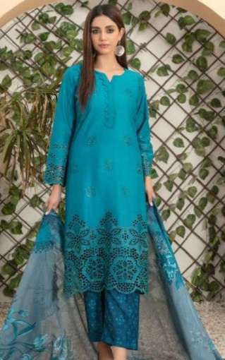 RENA by Shahid Tawakkal